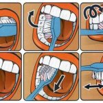 How to brush your teeth correctly