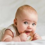 When should you start caring for your baby&#39;s teeth?