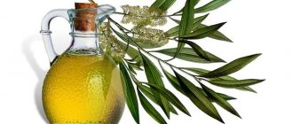 Tea tree oil for teeth: harm and benefit